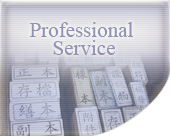 Professional Service